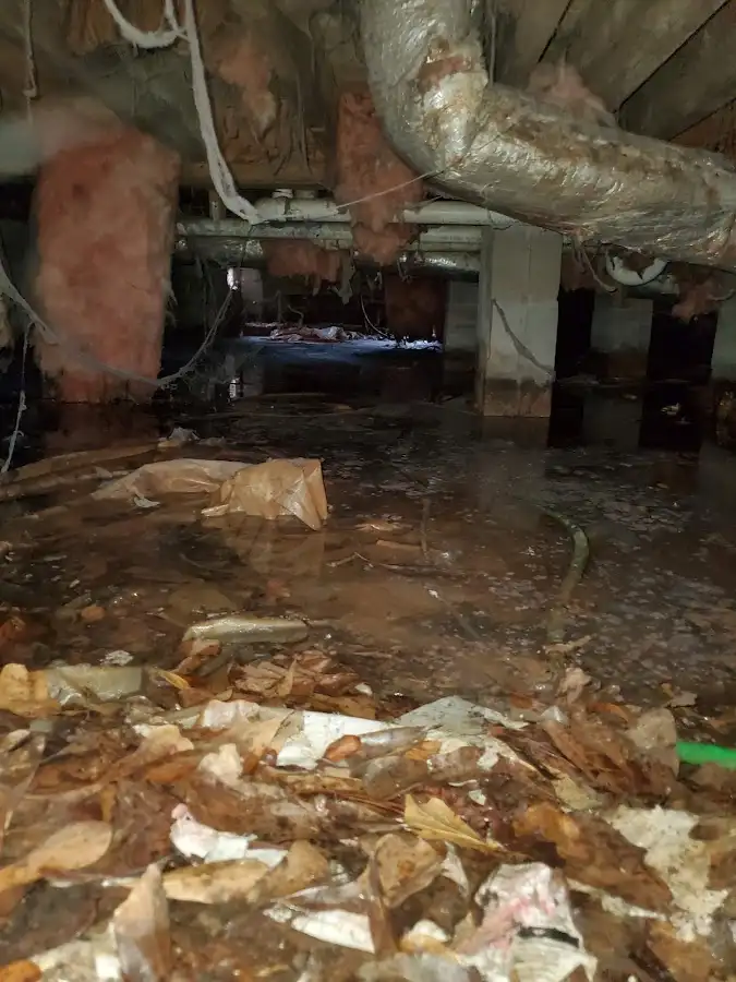 Crawl space flood assessment for Leak Detection & Repair in Tucson Mountains